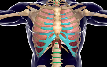 Benign Pozisyonel Paroksismal Vertigo (BPPV)